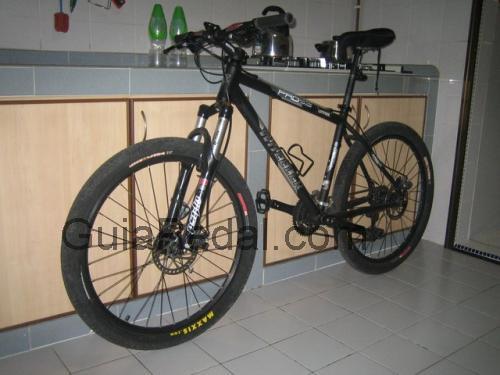 Wheeler Pro 29 ficha técnica y opiniones